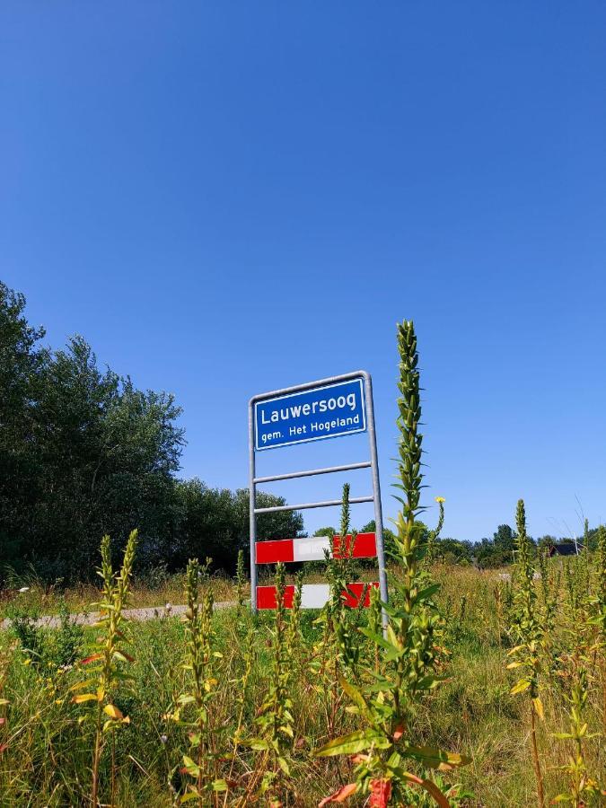 Luxe Chalet Lauwersoog Eksteriør billede